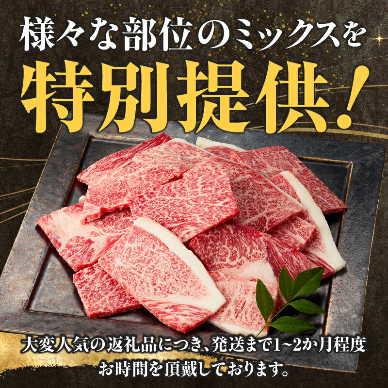 【ふるさと納税】【選べる内容量】宮崎牛訳あり焼肉 バラエティパック おためし 500g～1.5kg 牛肉 牛 肉 訳あり 焼肉 国産 国産牛 小分け 人気 おすすめ お肉 訳あり牛肉 贈答 焼肉セット ギフト 宮崎牛 お試し お裾分け 宮崎県 小林市 送料無料