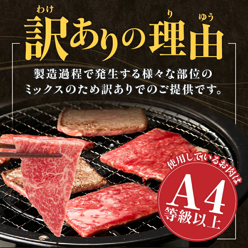 【ふるさと納税】【選べる内容量】宮崎牛訳あり焼肉 バラエティパック おためし 500g～1.5kg 牛肉 牛 肉 訳あり 焼肉 国産 国産牛 小分け 人気 おすすめ お肉 訳あり牛肉 贈答 焼肉セット ギフト 宮崎牛 お試し お裾分け 宮崎県 小林市 送料無料