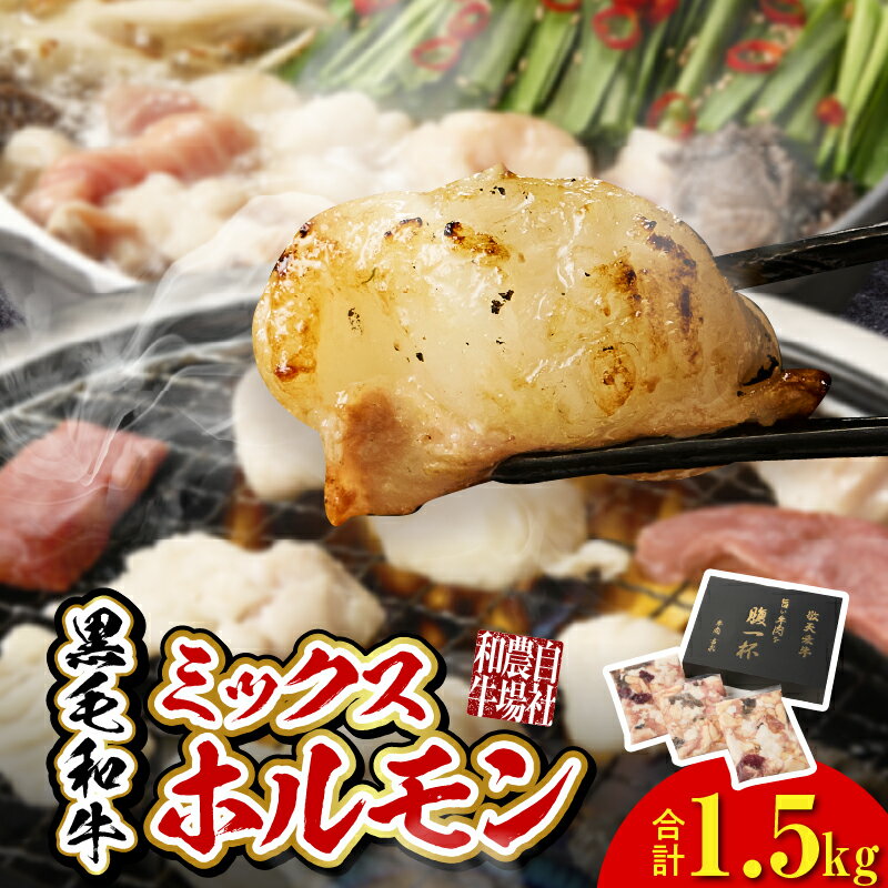 [自社農場和牛]黒毛和牛ミックスホルモン 1.5kg(国産 黒毛和牛 牛肉 ホルモン 焼肉 BBQ 冷凍 送料無料)