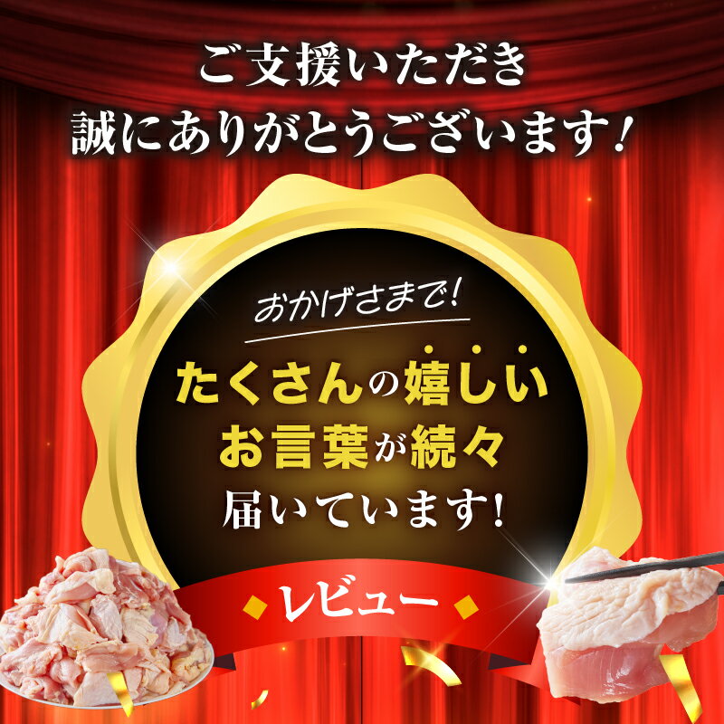 【ふるさと納税】【毎月数量限定受付】鶏肉 もも肉 若鶏 鶏もも 3.3kg 300g×11P 小分け カット済み 冷凍 肉 鶏もも肉 国産 食品 人気 国産 BBQ 料理 時短 パック チキン 鳥 鳥肉 鳥もも肉 鳥もも 冷凍 若鶏もも肉 宮崎県 小林市 送料無料