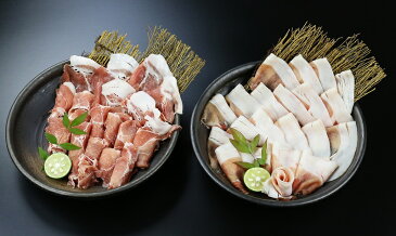 【ふるさと納税】日向ひょっとこポーク 肩ロース・ロースしゃぶしゃぶセット
