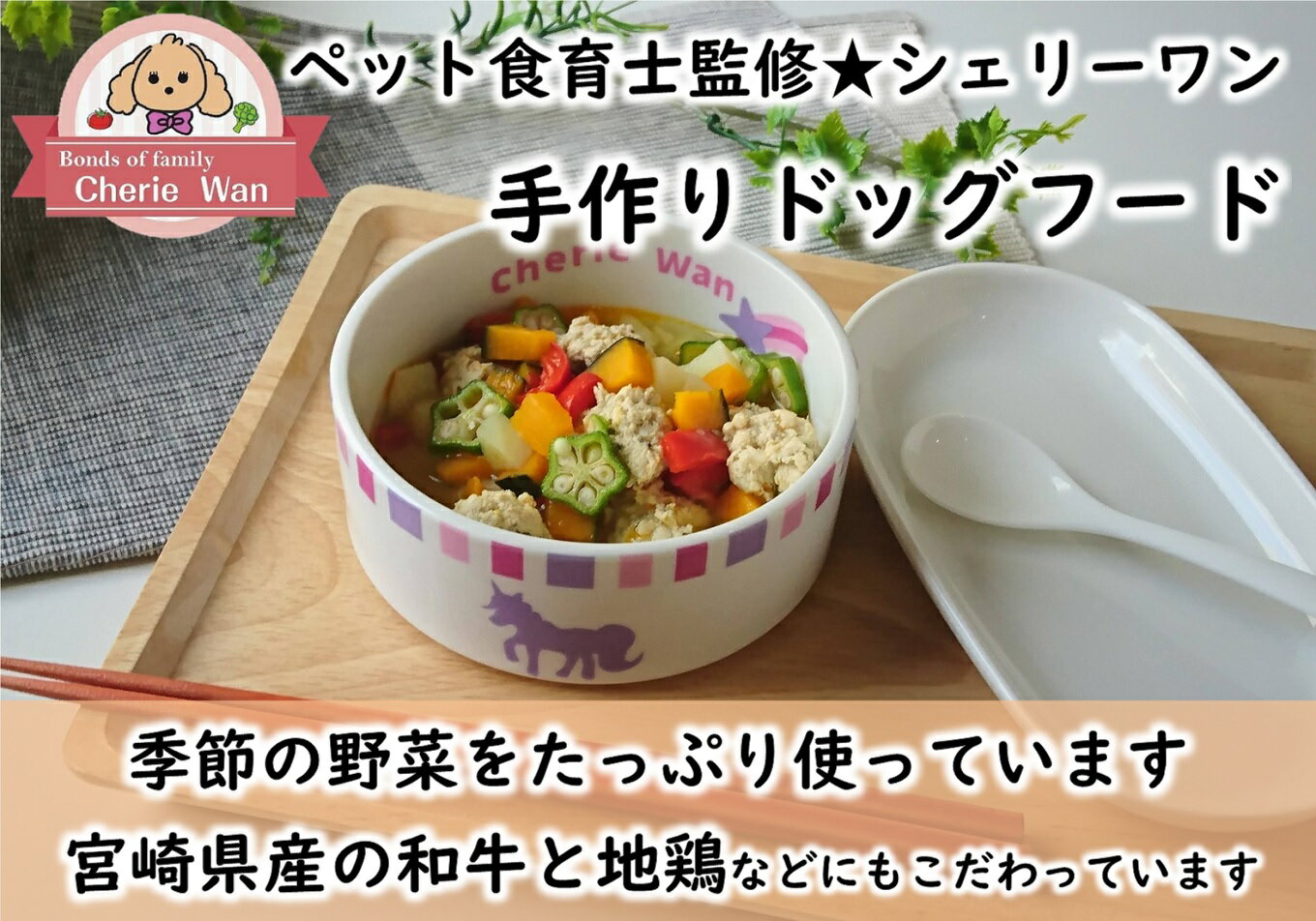 [ペット食育士監修]日向市産の野菜をたっぷり使った手作りドッグフード(4種×各1個) [ウィズ・クリエイティブ 宮崎県 日向市 452060044]