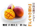 【ふるさと納税】日向完熟マンゴー(太陽のタマゴ)約1kg