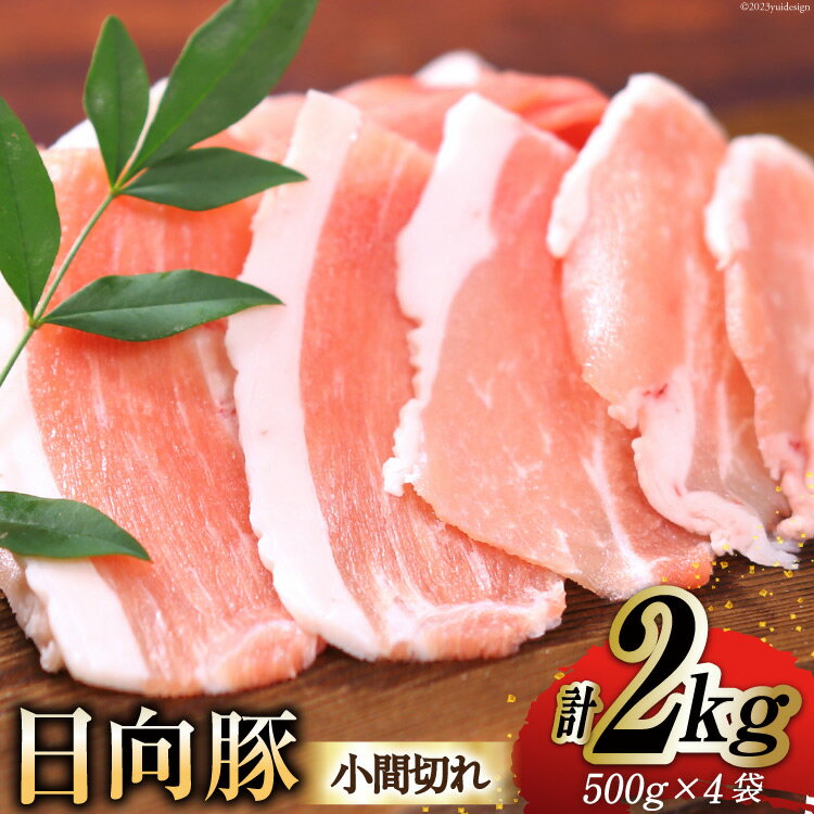 豚肉 小分け★日向豚小間切れ2kg [南日本フレッシュフード スライス工場 宮崎県 日向市 452060200]