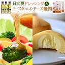 【ふるさと納税】ミツイシおすすめ 大人気の日向夏ドレッシング 180ml 3 チーズぎっしりチーズ饅頭10個セット [ミツイシ 宮崎県 日向市 452060059]