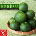 24位! 口コミ数「1件」評価「5」へべす 訳あり 柑橘 【2024年8月～10月発送予定】 採れたてへべす 5kg [かくちゃん農園 宮崎県 日向市 452060041] 先･･･ 