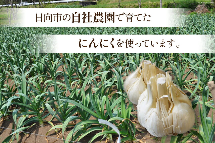 【ふるさと納税】 サプリメント にんにく卵黄 純力 3袋＆うこんにんにく粒 純力 1袋 セット[11-21] サプリ カプセル 錠剤 国産 にんにく うこん