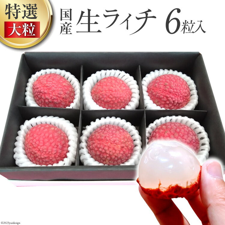【ふるさと納税】ライチ 【2024年夏発送】 特選 大粒 国産 生ライチ 6粒入り [大黒園 宮崎県 日向市 452060160] 国産 フルーツのサムネイル