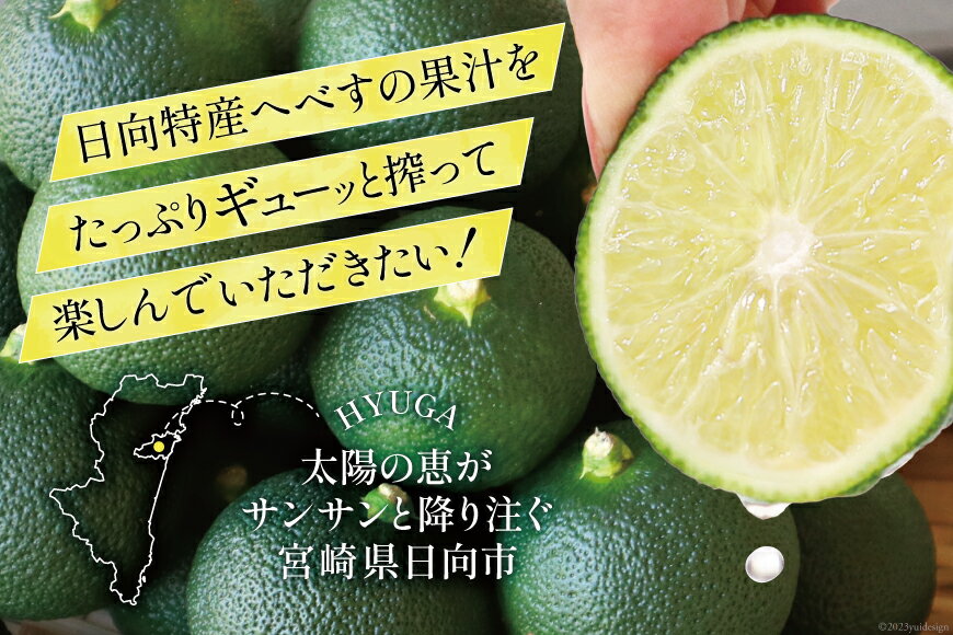 【ふるさと納税】【先行予約】訳あり 旬を先取り　黒木へべすファーム自慢の《ハウス》 へべす 2kg [黒木へべすファーム 宮崎県 日向市 452060530] 柑橘 国産 家庭用 ヘベス 平兵衛酢 宮崎 ビタミンC アミノ酸 期間限定 数量限定