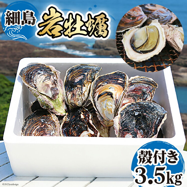 [期間限定発送]岩牡蠣 殻付き 細島 岩ガキ 約3.5kg [道の駅日向 宮崎県 日向市 452060570] いわがき 岩がき 牡蠣 日豊海岸 濃厚 クリーミー