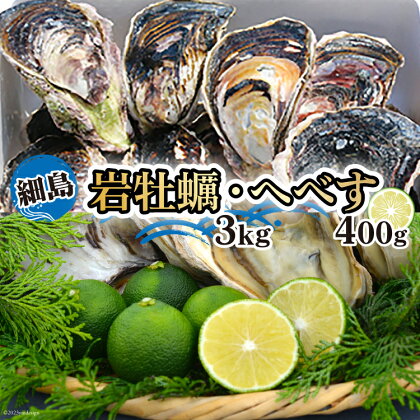 岩牡蠣 殻付き 細島 岩ガキ 約3kg 日向特産 へべす 400g セット [道の駅日向 宮崎県 日向市 452060356] いわがき 岩がき 牡蠣 日豊海岸 濃厚 クリーミー