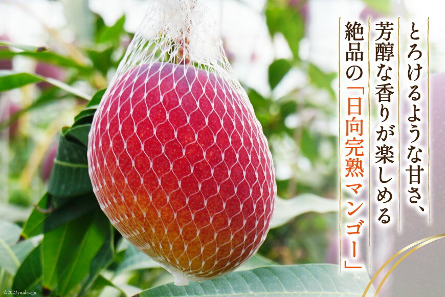 宮崎県日向市の画像3