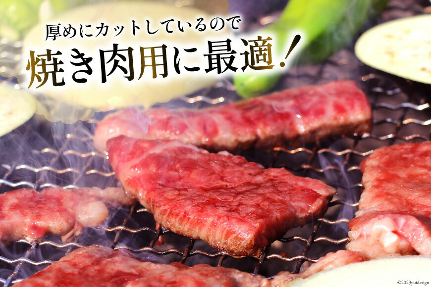 【ふるさと納税】宮崎和牛 切り落とし 焼肉 1.2kg [道の駅「日向」物産館 宮崎県 日向市 452060360] 切落し きりおとし 牛肉 黒毛和牛