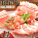 日向豚食べ比べセット1.4kg 