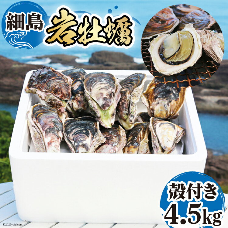 【ふるさと納税】【期間限定発送】岩牡蠣 殻付き 細島 岩ガキ 約4.5kg [道の駅日向 宮崎県 日向市 452060571] いわがき 岩がき 牡蠣 日豊海岸 濃厚 クリーミー