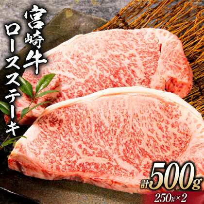 牛肉 宮崎牛 ロースステーキ 250g×2 計500g [ミヤチク 宮崎県 日向市 452060494] 肉 黒毛和牛 ステーキ ロース 冷凍