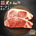 牛肉 黒毛和牛 宮崎産 サーロインステーキ(250g×2枚) 計500g  和牛 肉 ステーキ サーロイン 冷凍 真空パック