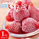 11位! 口コミ数「0件」評価「0」いちご 【訳あり】フレッシュ完熟 冷凍いちご 500g×2袋 計1kg [亀の子いちご園 宮崎県 日向市 452060007] 苺 イチゴ ･･･ 