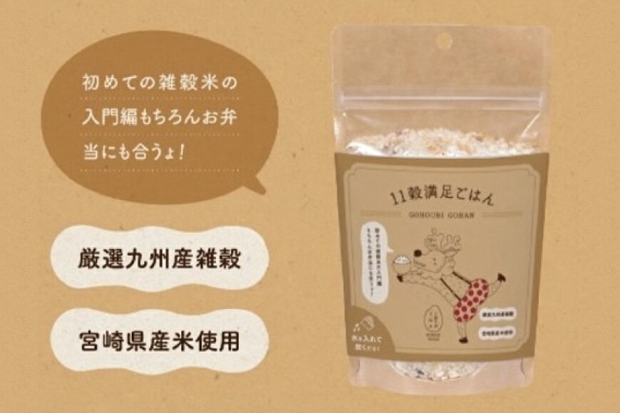 【ふるさと納税】米 無洗米 11穀満足ごはん ごほうびごはん 250g×4 計 1kg [DANBO*DELI 宮崎県 日向市 452060022] 小分け 国産 ブレンド米 雑穀米 こめ コメ 雑穀