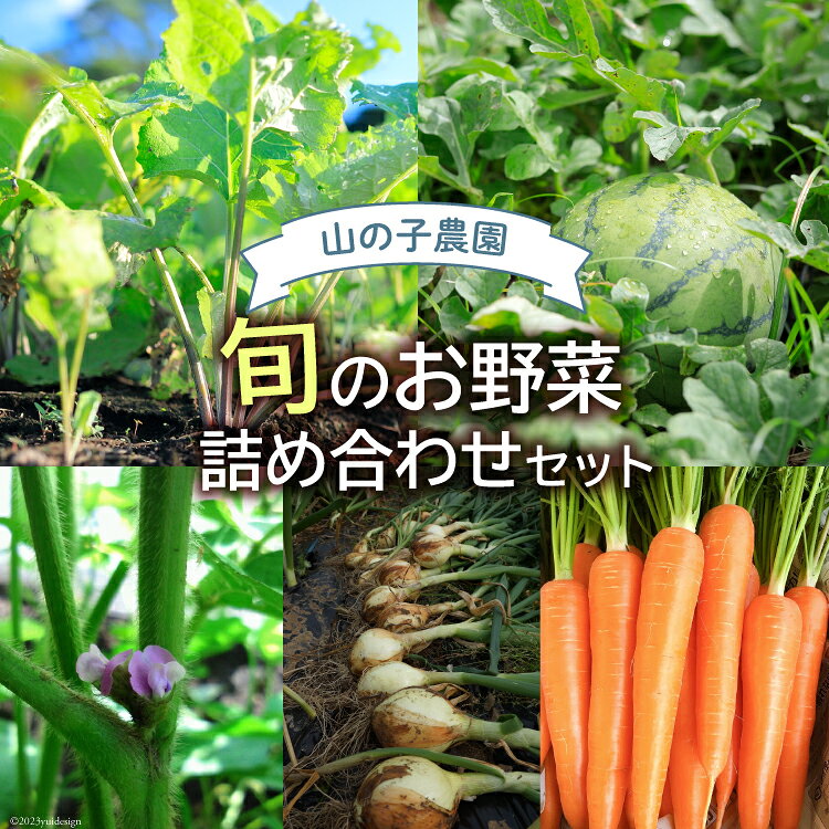 旬のお野菜詰め合わせセット [山の子農園 宮崎県 日向市 452060912] 野菜 国産 詰め合わせ セット
