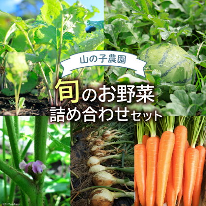 山の子農園の化学肥料・農薬をつかっていない旬のお野菜詰め合わせセット [山の子農園 宮崎県 日向市 452060149]