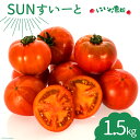 トマト にいな農園SUNすいーと 1.5kg × 1箱  高糖度 甘い フルーツ とまと 糖度 野菜