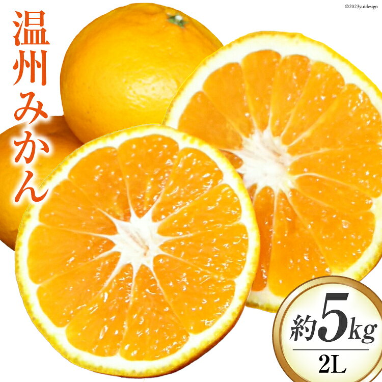 【期間限定発送】温州みかん 5kg [大黒園 宮崎県 日向市 452060922] 果物 フルーツ 柑橘 みかん ミカン