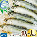 【ふるさと納税】 鮎 冷凍 こだわりの鮎 約1kg [あゆの...