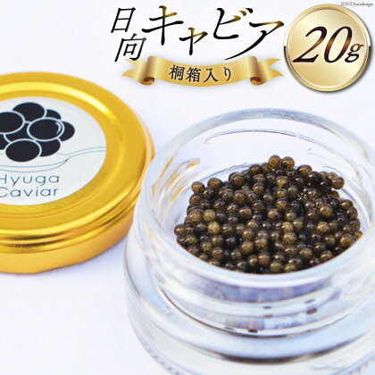 日向キャビア(Hyuga Caviar) 20g【桐箱入り】(冷凍・フレッシュキャビア) [宮崎キャビア 宮崎県 日向市 452060324]