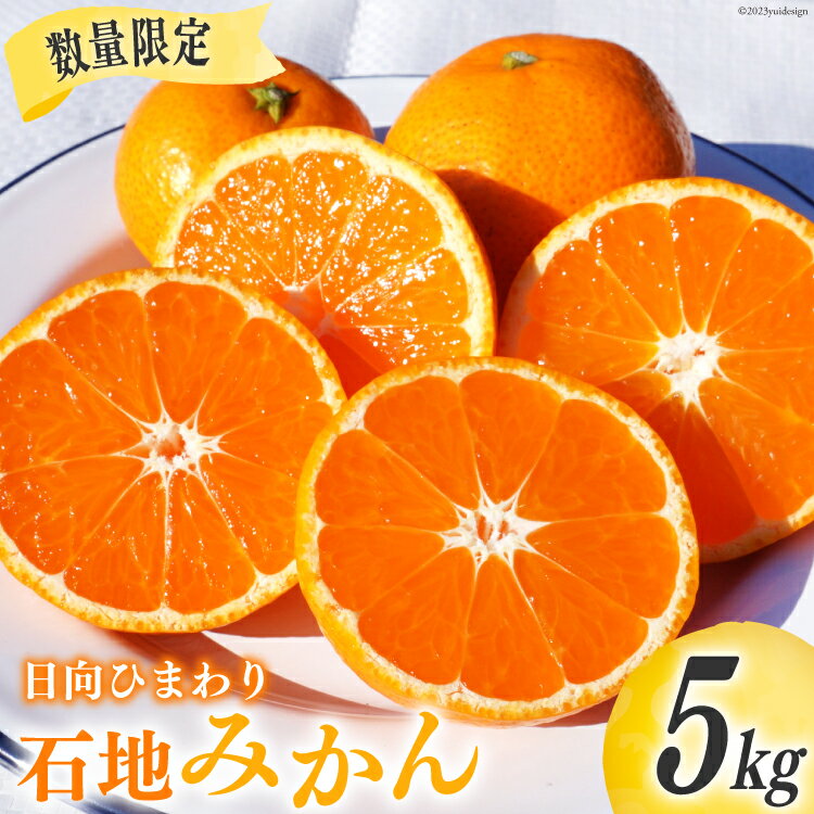 【ふるさと納税】【先行予約】 訳あり 日向ひまわり 石地みかん 5kg [ひまわり農園 宮崎県 日向市 452060174] 果物 フルーツ みかん ミカン 柑橘 家庭用 数量限定のサムネイル