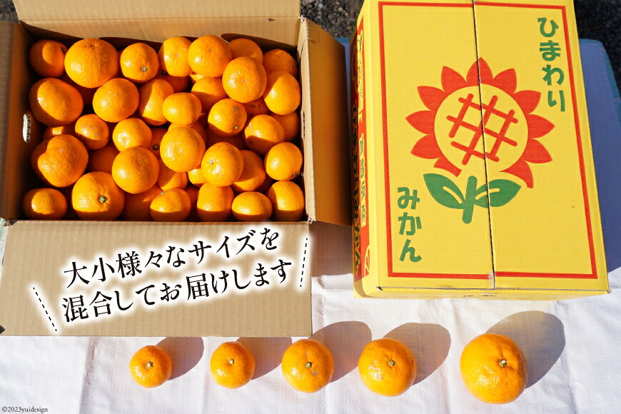 【ふるさと納税】 【期間限定発送】 みかん 訳あり 日向ひまわり 石地みかん 2S 〜 L サイズ 5kg [ひまわり農園 宮崎県 日向市 452061493] ミカン 小玉 大玉 柑橘 家庭用 数量限定