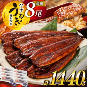 【ふるさと納税】 鰻楽 ハーブ うなぎ 蒲焼 宮崎県日向市産 8尾（計1440g）《1ケ月程度で発送》[50-03]