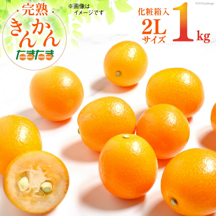 【ふるさと納税】【先行受付】日向市産 　完熟 金柑 たまたま　1kg《ハウス栽培》 [鈴野農園 宮崎県 日向市 452060214]のサムネイル