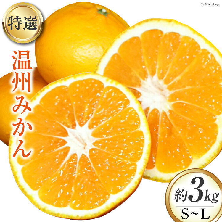 【期間限定発送】特選 温州みかん (化粧箱入り) 3kg [大黒園 宮崎県 日向市 452060920] 果物 フルーツ 柑橘 みかん ミカン