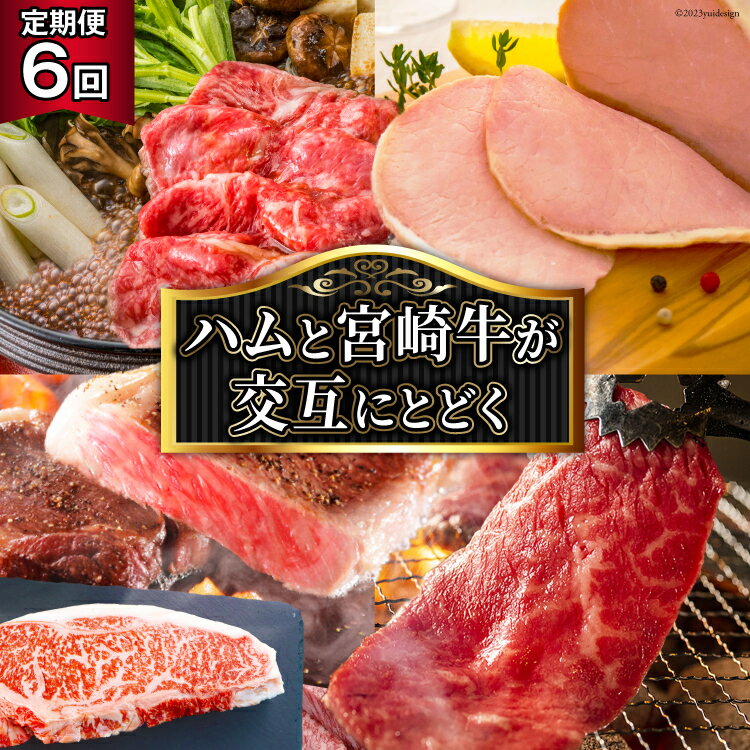 29位! 口コミ数「0件」評価「0」【定期便・全6回】 牛肉 ハム 宮崎牛と宴の彩り ハム ギフト が交互に届く [日本ハムマーケティング 宮崎県 日向市 452060423]･･･ 