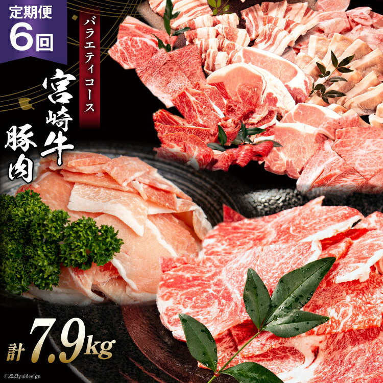 【ふるさと納税】【 定期便 6回】宮崎牛と宮崎県産豚肉 バラ