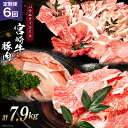 【ふるさと納税】【定期便・全6回】 牛肉 【2024年5月発送】 宮崎牛と宮崎県産豚肉バラエティコース 合計7.9kg [ミヤチク 宮崎県 日向市 452060490] 焼肉 とんかつ 豚バラ 肩ロース 黒毛和牛 冷凍 先行予約