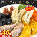 宮崎餃子 餃子専門店の手作りバラエティー餃子食べ比べ（彩り餃子15個入り×3セット）計45個 