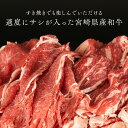 【ふるさと納税】訳あり 牛肉 宮崎県産 和牛 切り落とし 500g×2p 計1kg [日本ハムマーケティング 宮崎県 日向市 452060542] 肉 牛 黒毛和牛 精肉 冷凍 2