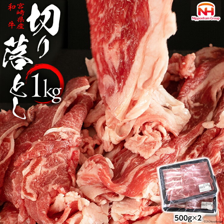 訳あり 牛肉 宮崎県産 和牛 切り落とし 500g×2p 計1kg [日本ハムマーケティング 宮崎県 日向市 452060542] 肉 牛 黒毛和牛 精肉 冷凍