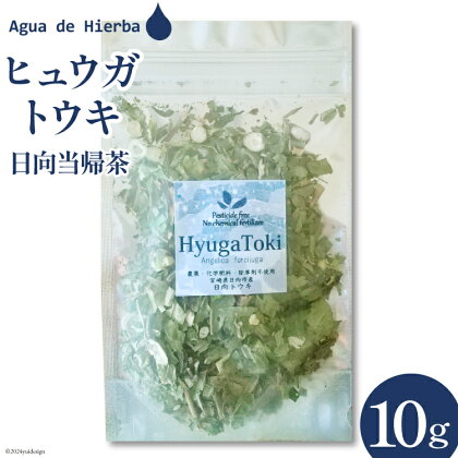 ハーブティー ヒュウガトウキ 10g×1袋 [Agua de Hierba 宮崎県 日向市 452060453] ハーブ 日向当帰 茶 お試し 簡易包装 お茶