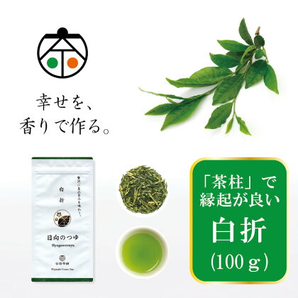 茶 煎茶 白折 100g×1袋 [谷岩茶舗 宮崎県 日向市 452060503] お茶 緑茶 茶葉 深蒸し 茎茶 アミノ酸 簡易包装 緑茶