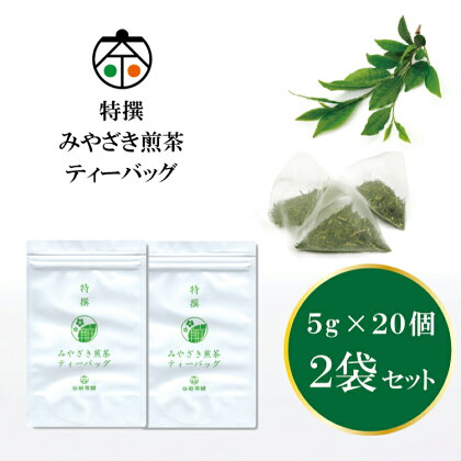 茶 特撰 みやざき 煎茶 ティーバッグ 5g×20個入 計2袋 [谷岩茶舗 宮崎県 日向市 452060504] お茶 日本茶 新茶 簡易包装 一番茶 新茶