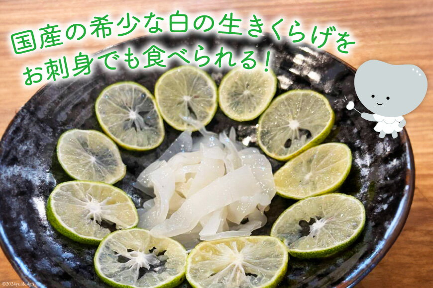 【ふるさと納税】きくらげ 白 生きくらげ 100g×3袋 [きくらげ堂 日向店 宮崎県 日向市 452060511] キクラゲ 木耳 食物繊維 無添加 きのこ 冷蔵