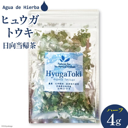 ハーブティー ヒュウガトウキ ハーフサイズ 4g×1袋 [Agua de Hierba 宮崎県 日向市 452060512] ハーブ 日向当帰 茶 ティーバッグ 簡易包装 お茶 お試し