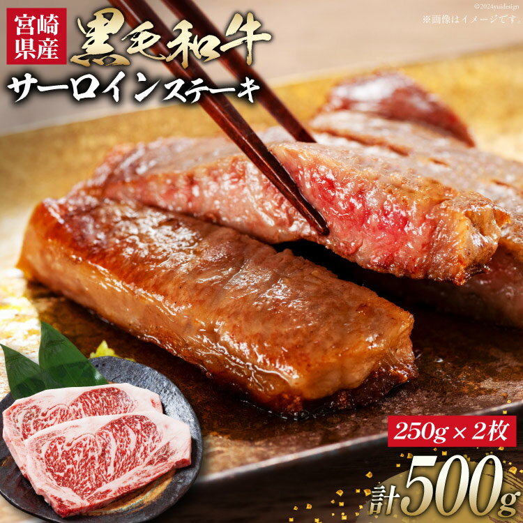 牛肉 黒毛和牛 宮崎産 サーロインステーキ(250g×2枚) 計500g [ウィズ・クリエイティブ 宮崎県 日向市 452060801] 和牛 肉 ステーキ サーロイン 冷凍 真空パック