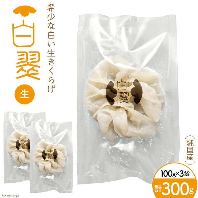 【期間限定発送】 きのこ 白 生きくらげ 100g 3袋 [きくらげ堂 日向店 宮崎県 日向市 452060820] きくらげ キクラゲ 木耳 食物繊維 冷蔵