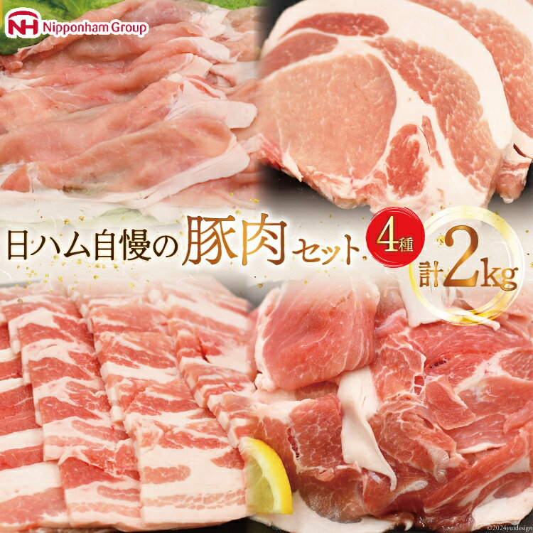 【ふるさと納税】宮崎県産豚肉4種セット 2kg レビューキャンペーン 小分け とんかつ しゃぶしゃぶ 焼肉 小間切れ[日本ハムマーケティング 宮崎県 日向市 452060687] 肉 豚肉 冷凍 個包装 セット 日向坂 日向坂46駅記念のサムネイル