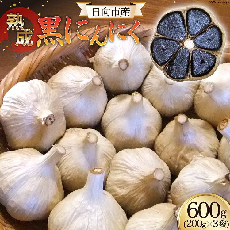 黒にんにく(200g×3袋)《国産・自家農園栽培・農薬不使用》 [甲斐自然派農園 宮崎県 日向市 452060130] 黒ニンニク にんにく ニンニク 自家製 熟成 日向市産