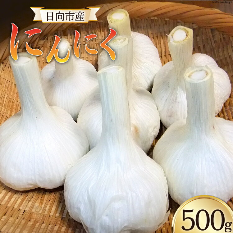 [期間限定発送] にんにく 国産 500g [甲斐自然派農園 宮崎県 日向市 452060132] ふるさと納税 ニンニク 栽培期間中 無農薬 農薬不使用 化学肥料不使用 日向市産